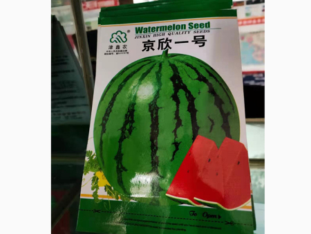 甜瓜种子