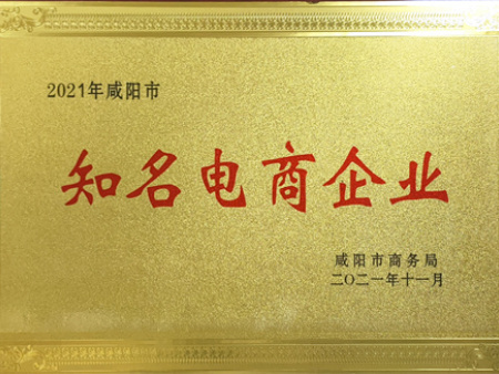 知名电商企业