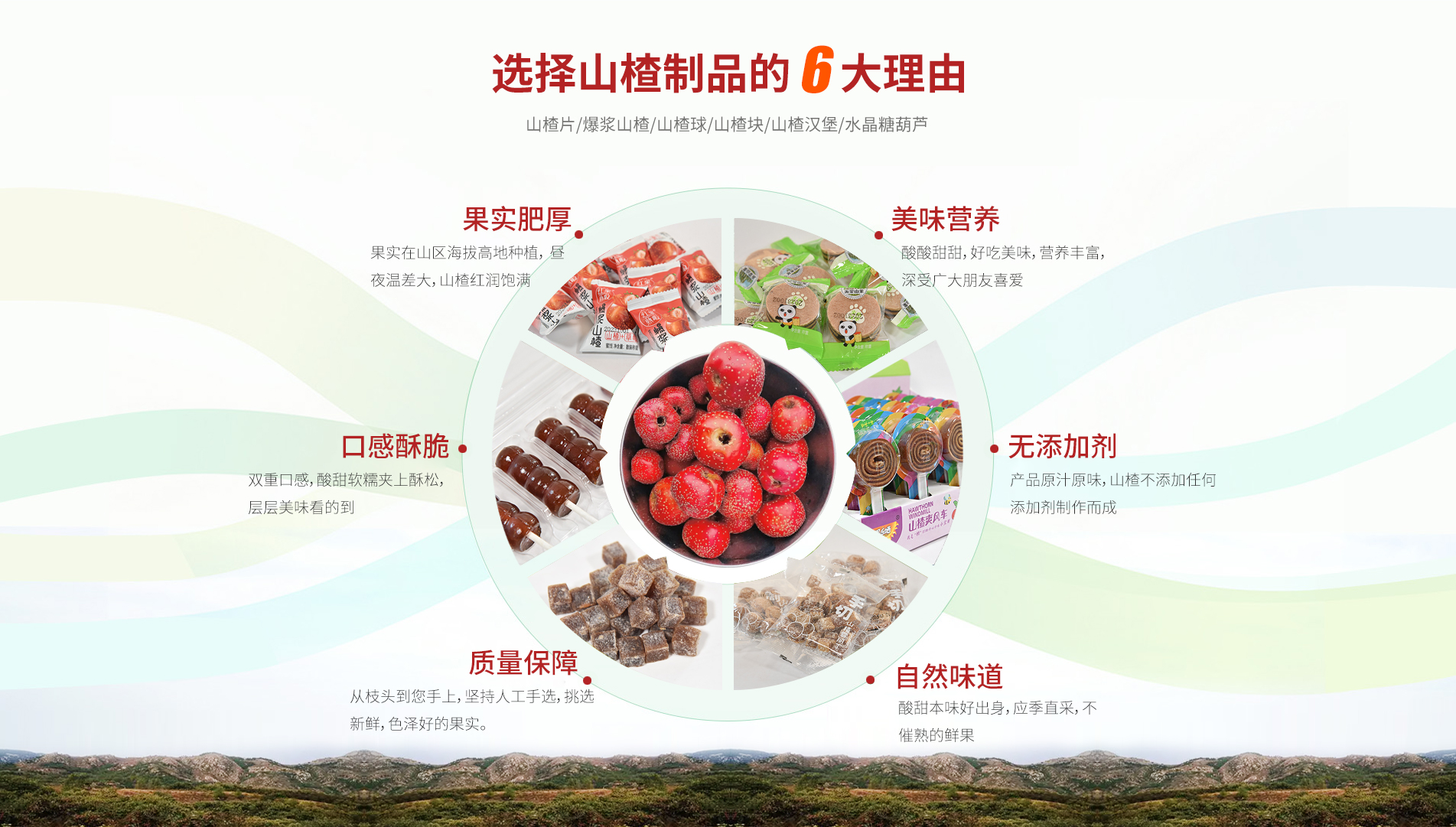 青州市王坟金洋食品厂