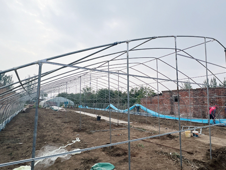 大棚安装现场