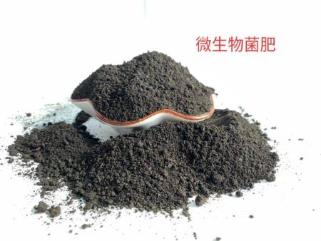 生物菌肥