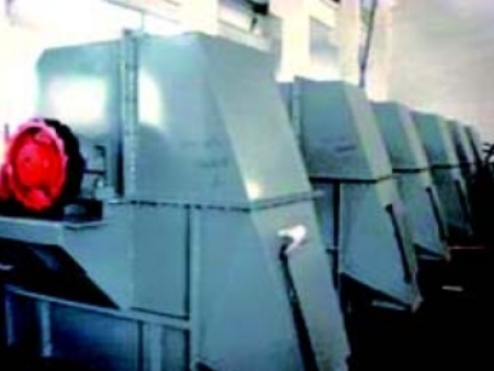 NE型板鏈斗式提升機