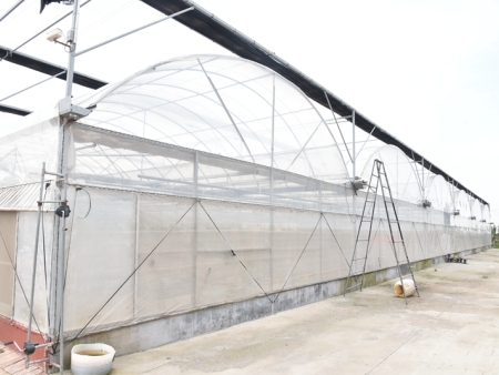 连体大棚的风雪灾害如何预防