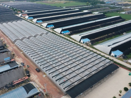 温室大棚建设原则有哪些