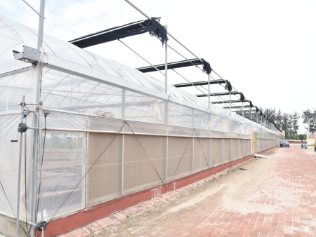 连栋温室