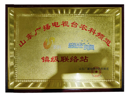 镇级联络站