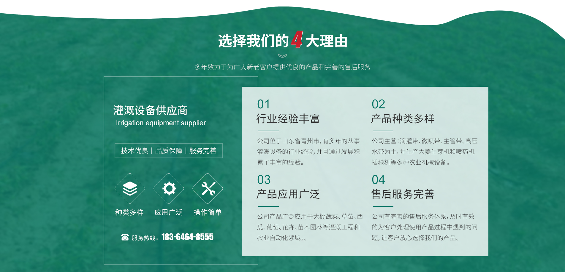 优势