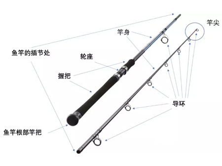 今天来看看鱼竿的结构有哪些？