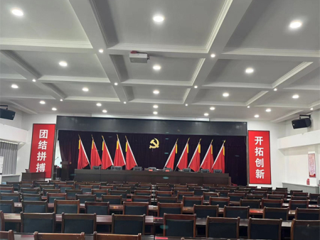 某单位手拉手会议系统