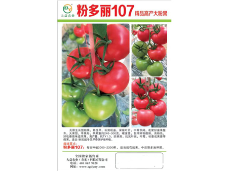 粉多丽107