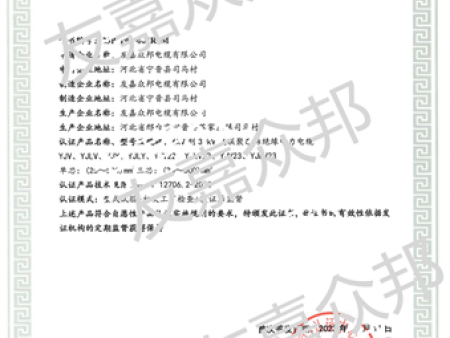 电能（国电投）PCCC产品认证证书4