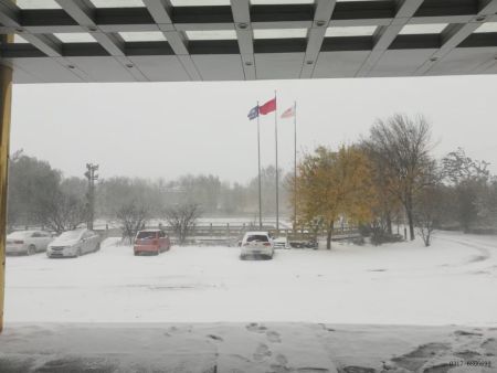 mmexport1636245932893 mmexport1636245932893