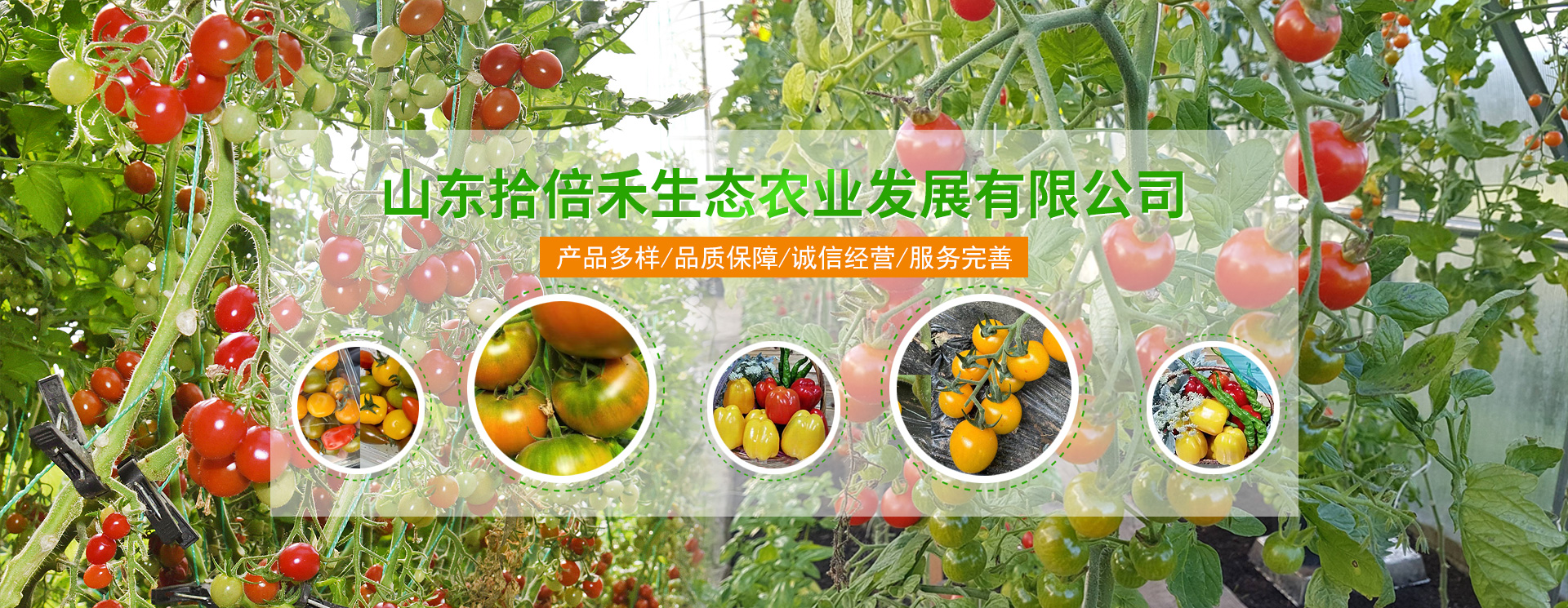 山东拾倍禾生态农业发展有限公司