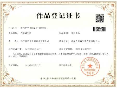 版權(quán)證書(1)-01