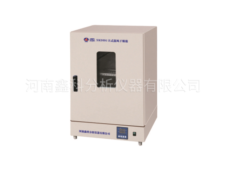 XKDHG系列立式鼓风干燥箱