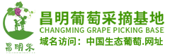 成都龙泉嘉禾农资有限公司一百三十一门市