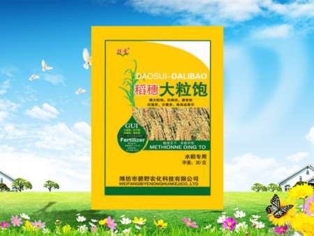 稻穗大粒饱