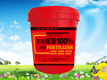 生根膨果100 %