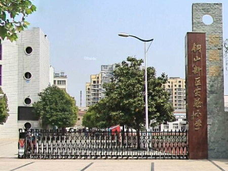 徐州铜山新区实验小学