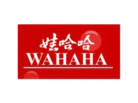 娃哈哈集团