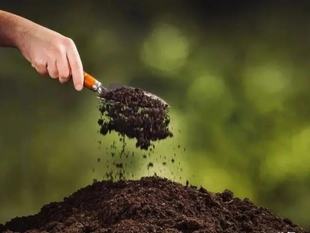 有机肥知多少丨如何快速判断有机肥质量的好坏？