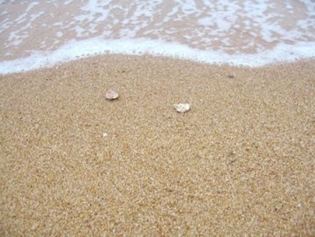 海沙厂家