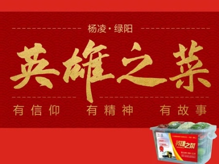 杨凌绿阳高新发展有限责任公司是一家专业化配送菜品公司