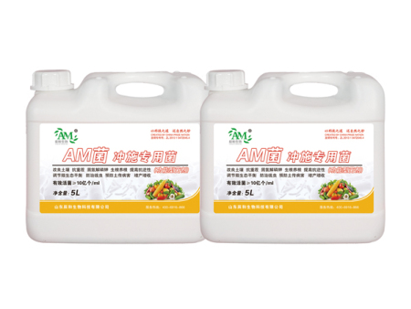 AM菌沖施專用菌