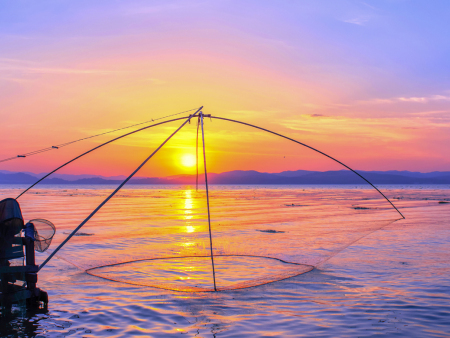 What are the main types of fishing rods by purpose?