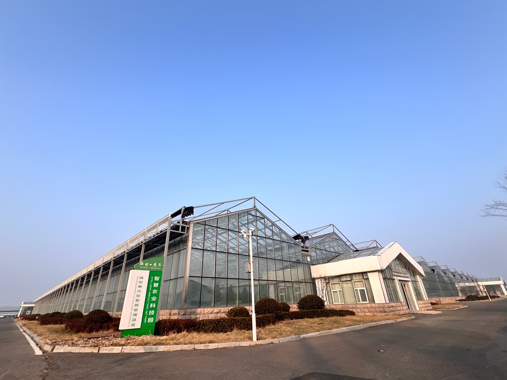 连栋玻璃温室的发展