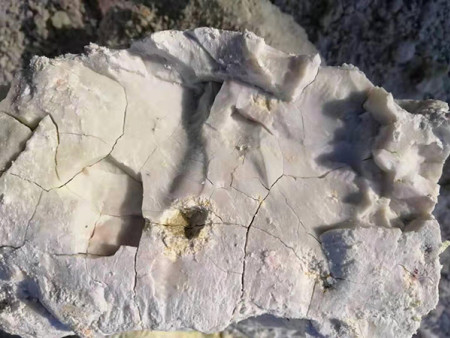 蜡状膨润土原矿