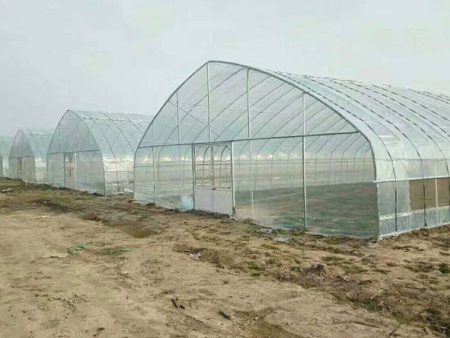 日光温室的特点