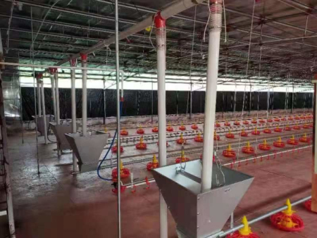 Poultry equipment 