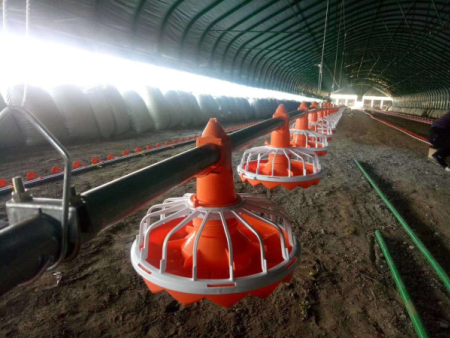 Poultry equipment 