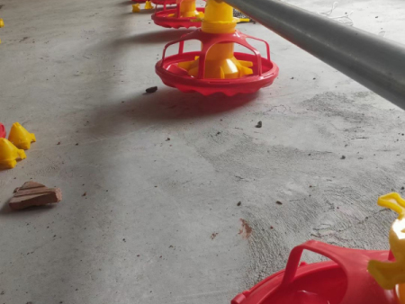 Poultry equipment 