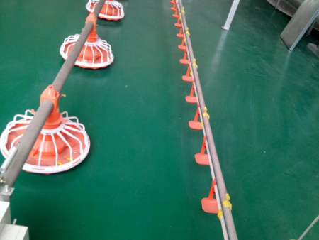 Poultry equipment 