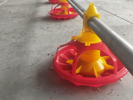 Poultry equipment 