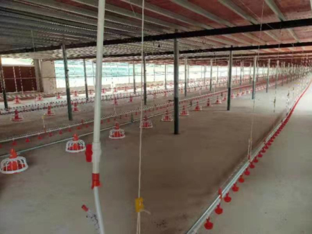 Poultry equipment 