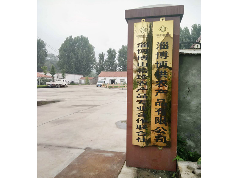 公司大门
