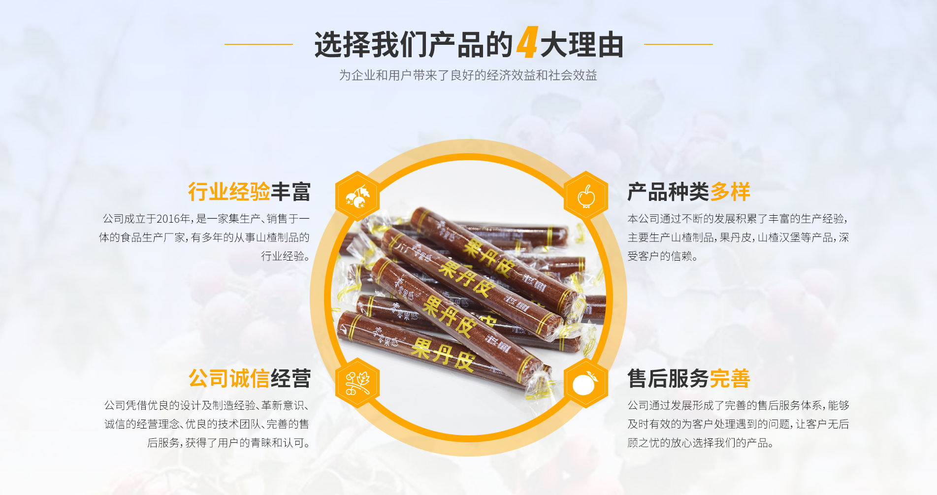 青州山丹丹食品有限公司