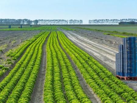 微生物菌剂，解决土壤重茬问题