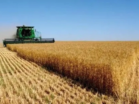 生物有机肥可以减少农药残留？