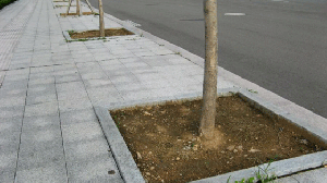  林州青石材-林州黑石材-芝麻黑石材-滨州青石材