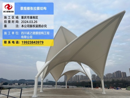 重庆公园景观张拉膜结构