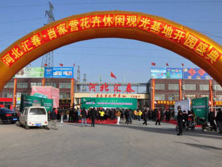 河北匯春肖家營(yíng)花卉基地