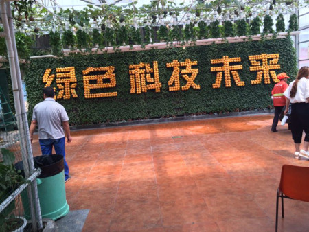 植物墙