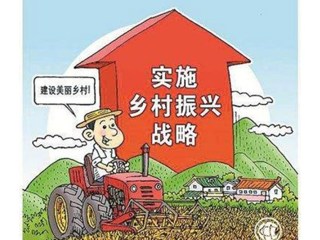 乡村战略