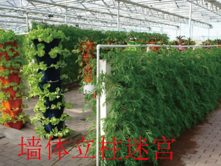 墙体立柱迷宫