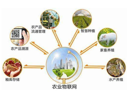 农业决策应用
