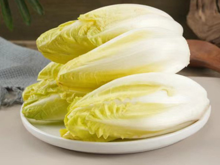 菊苣营养价值